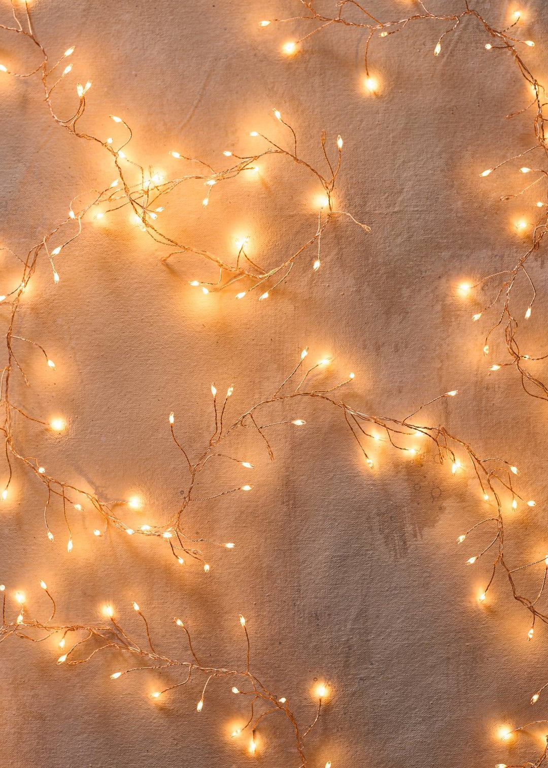 Fairy Lights String Tendril Lights - Clementine Home Floral Gift