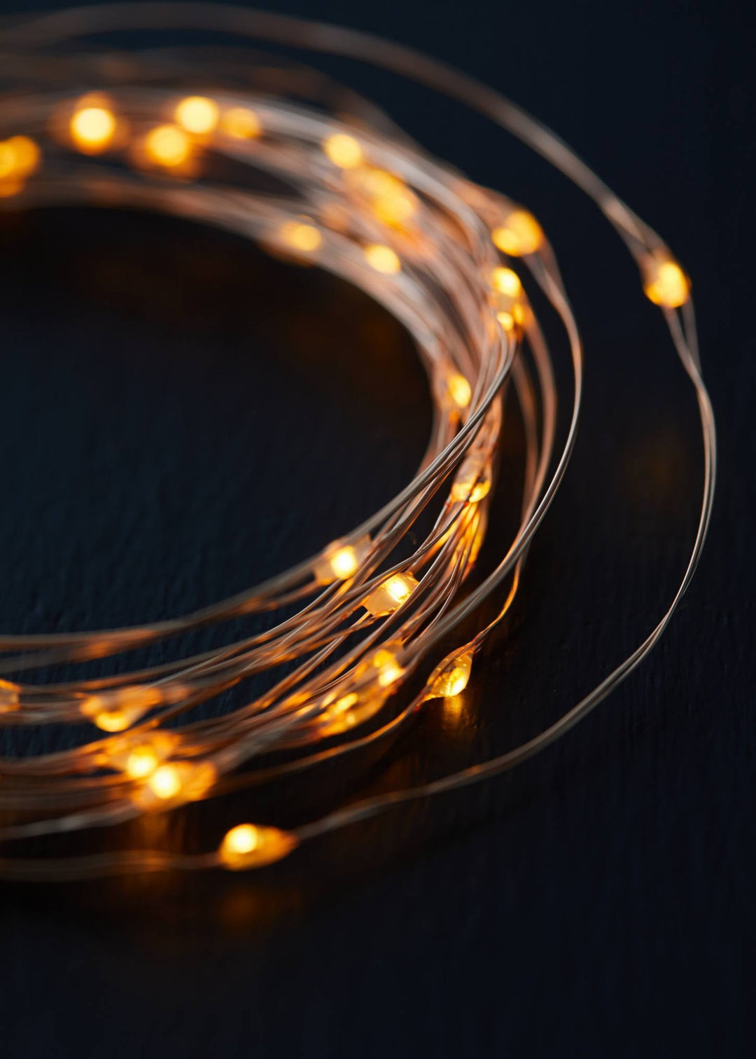 Fairy Rope LED String Lights - Clementine Home Floral Gift