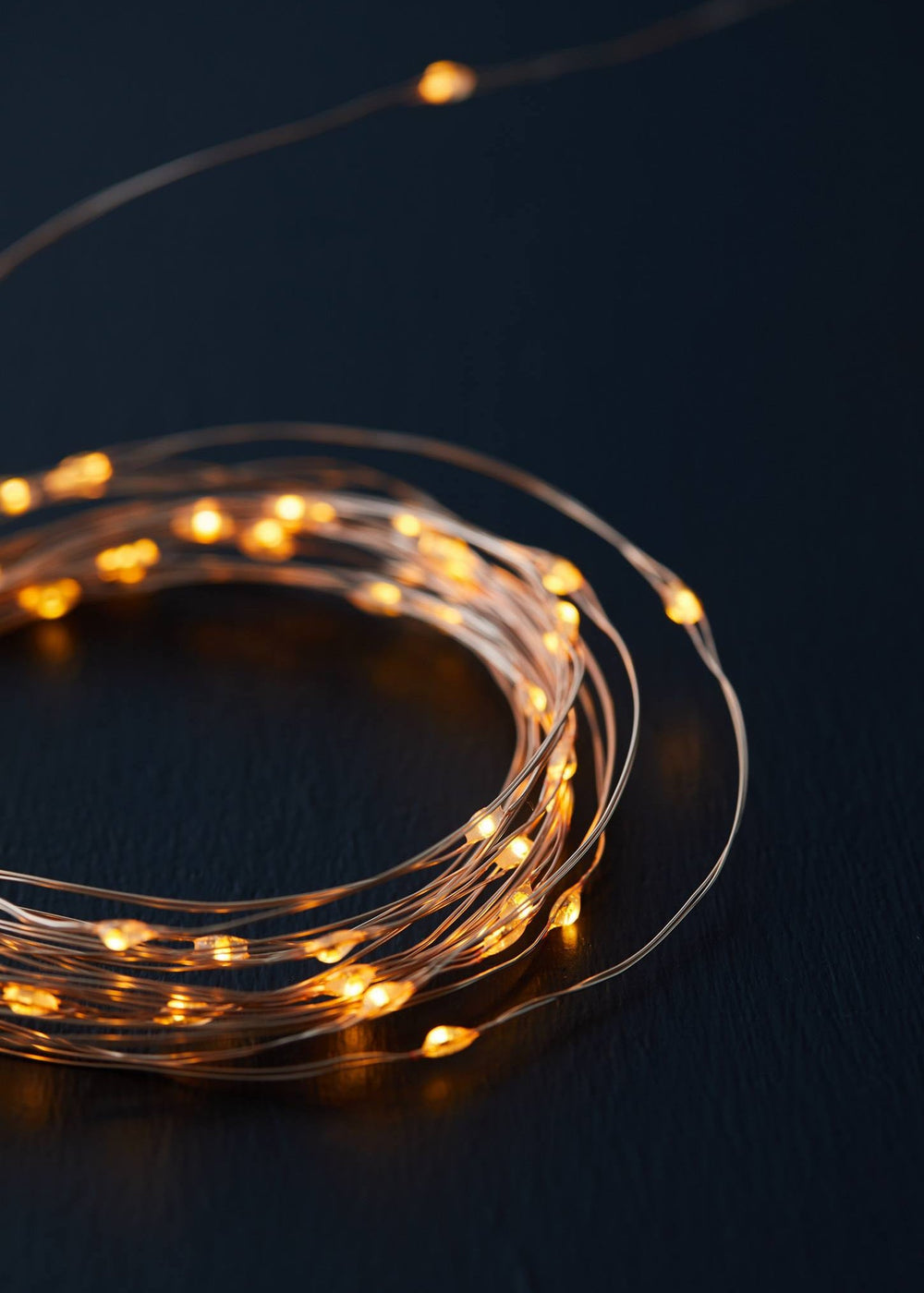 Fairy Rope LED String Lights - Clementine Home Floral Gift