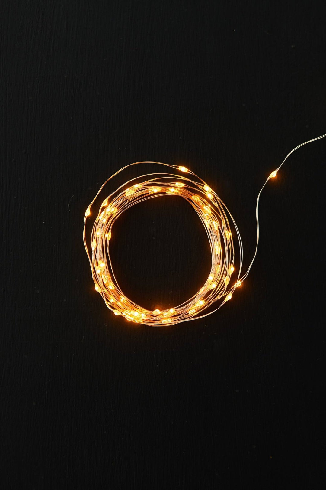 Fairy Rope LED String Lights - Clementine Home Floral Gift