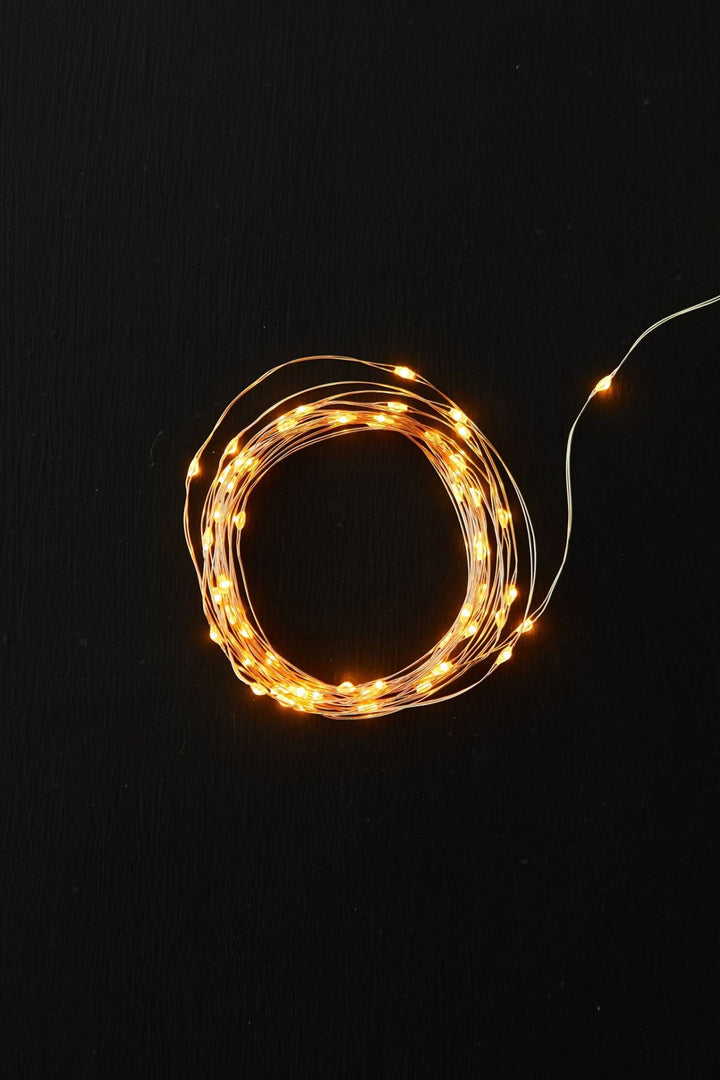 Fairy Rope LED String Lights - Clementine Home Floral Gift