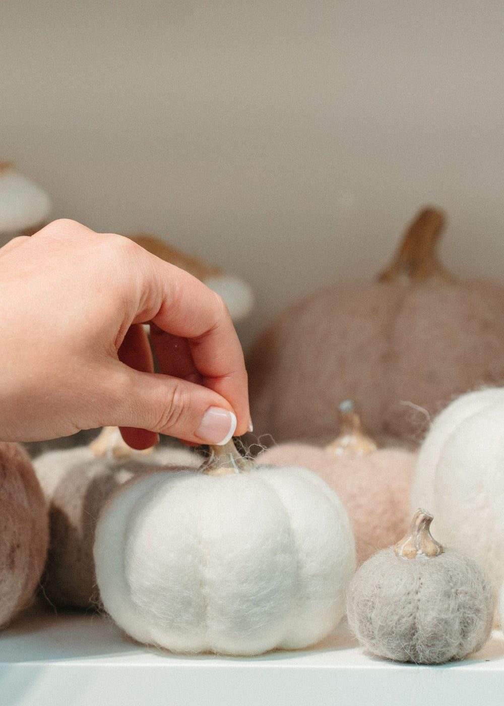 Felt Pumpkin - Oat - Clementine Home Floral Gift