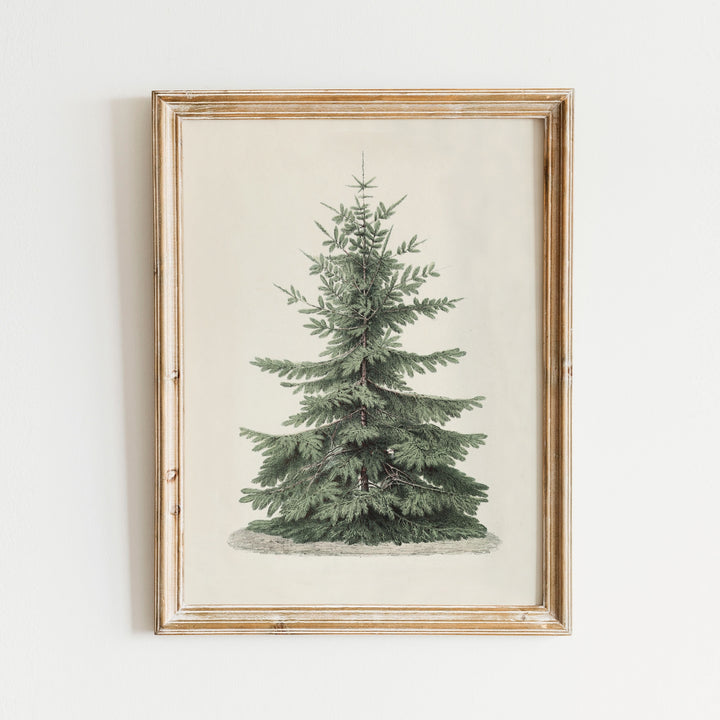 Vintage Christmas Tree Wall Art Print