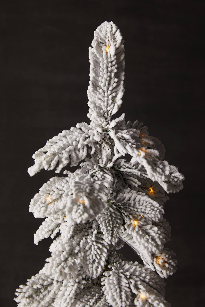 Flocked Lighted Pine Tree in Bag - Clementine Home Floral Gift