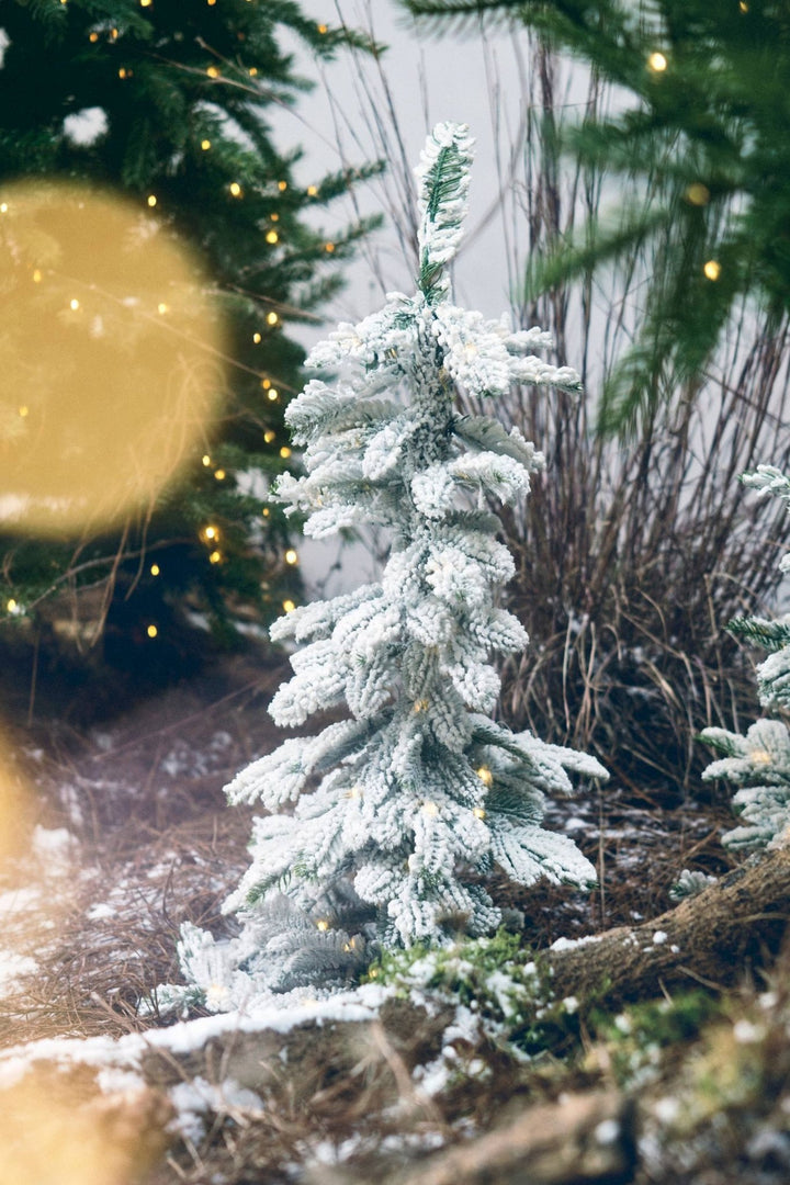 Flocked Lighted Pine Tree in Bag - Clementine Home Floral Gift