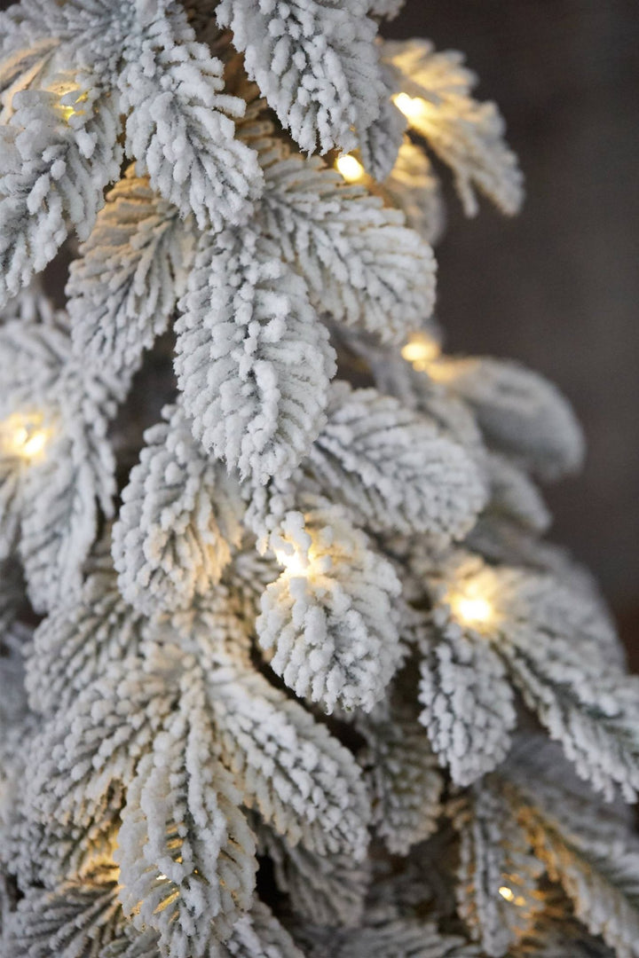 Flocked Lighted Pine Tree in Bag - Clementine Home Floral Gift