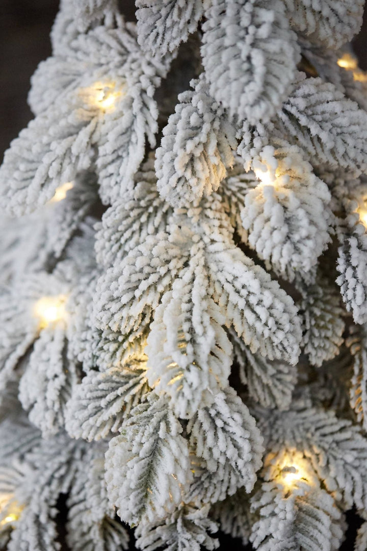 Flocked Lighted Pine Tree in Bag - Clementine Home Floral Gift