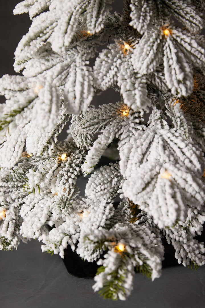 Flocked Lighted Pine Tree in Bag - Clementine Home Floral Gift