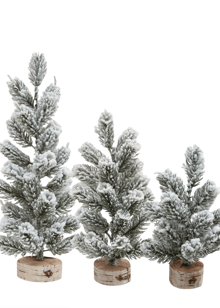 Flocked Trees, Set of 3 - Clementine Home Floral Gift