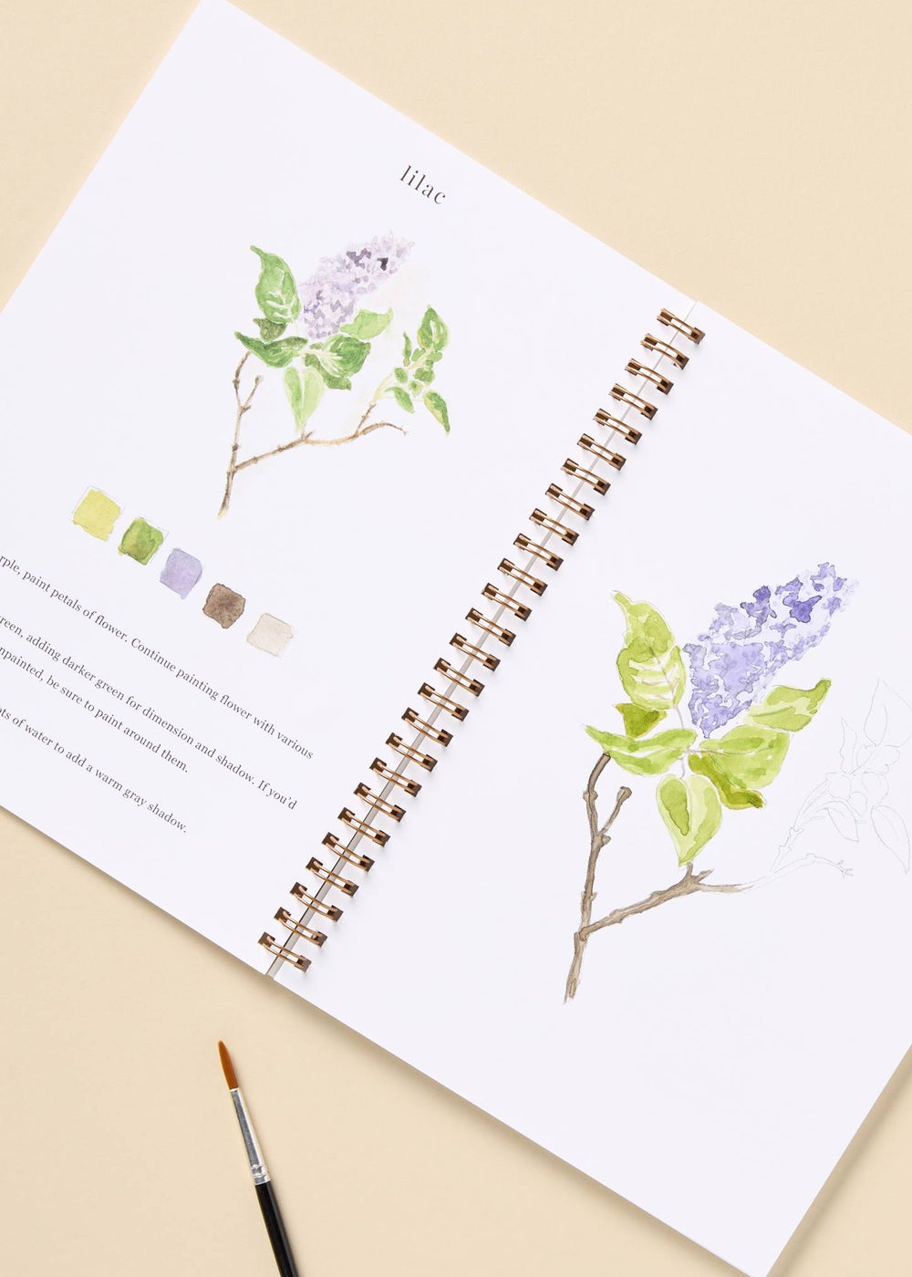 Flowers Watercolour Workbook - Clementine Home Floral Gift