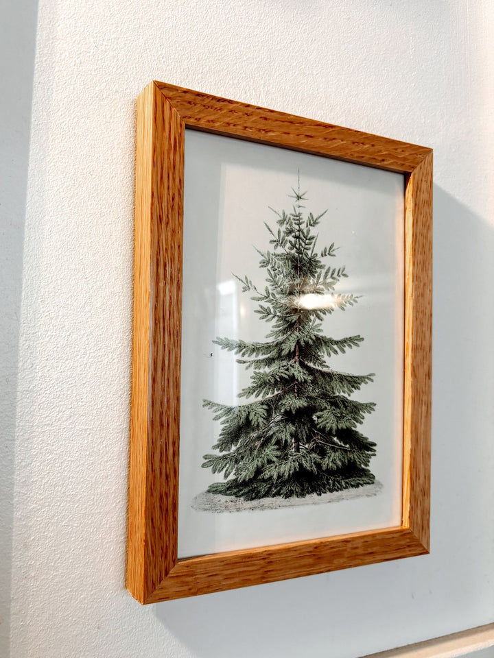 Frame Tree Print (Box 8 - Day 17) - Clementine Home Floral Gift