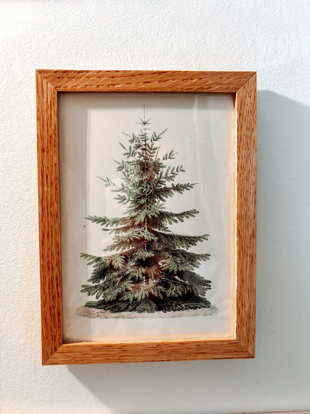 Frame Tree Print (Box 8 - Day 17) - Clementine Home Floral Gift