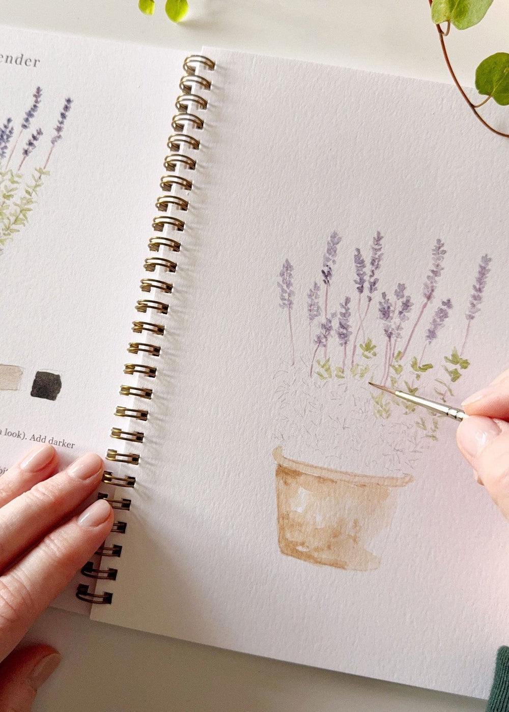 Garden Watercolour Workbook - Clementine Home Floral Gift