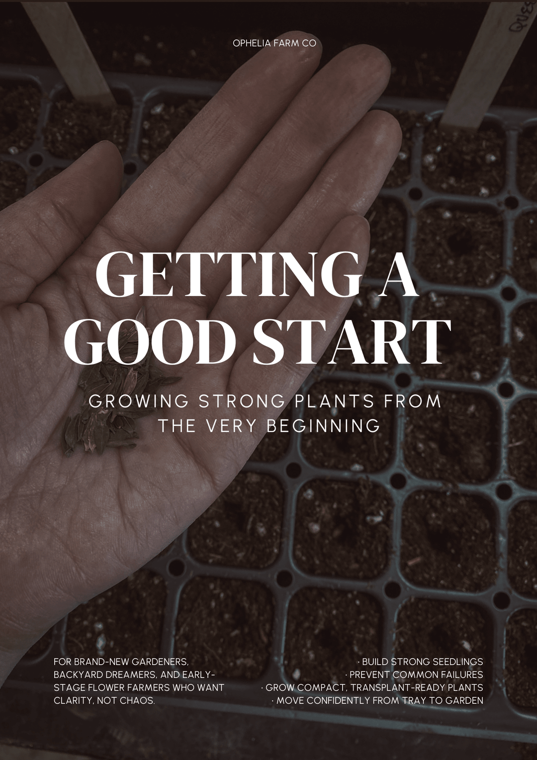 Getting a Good Start - A Zone 3 Flower Flower Workbook 3 - Clementine Home Floral Gift