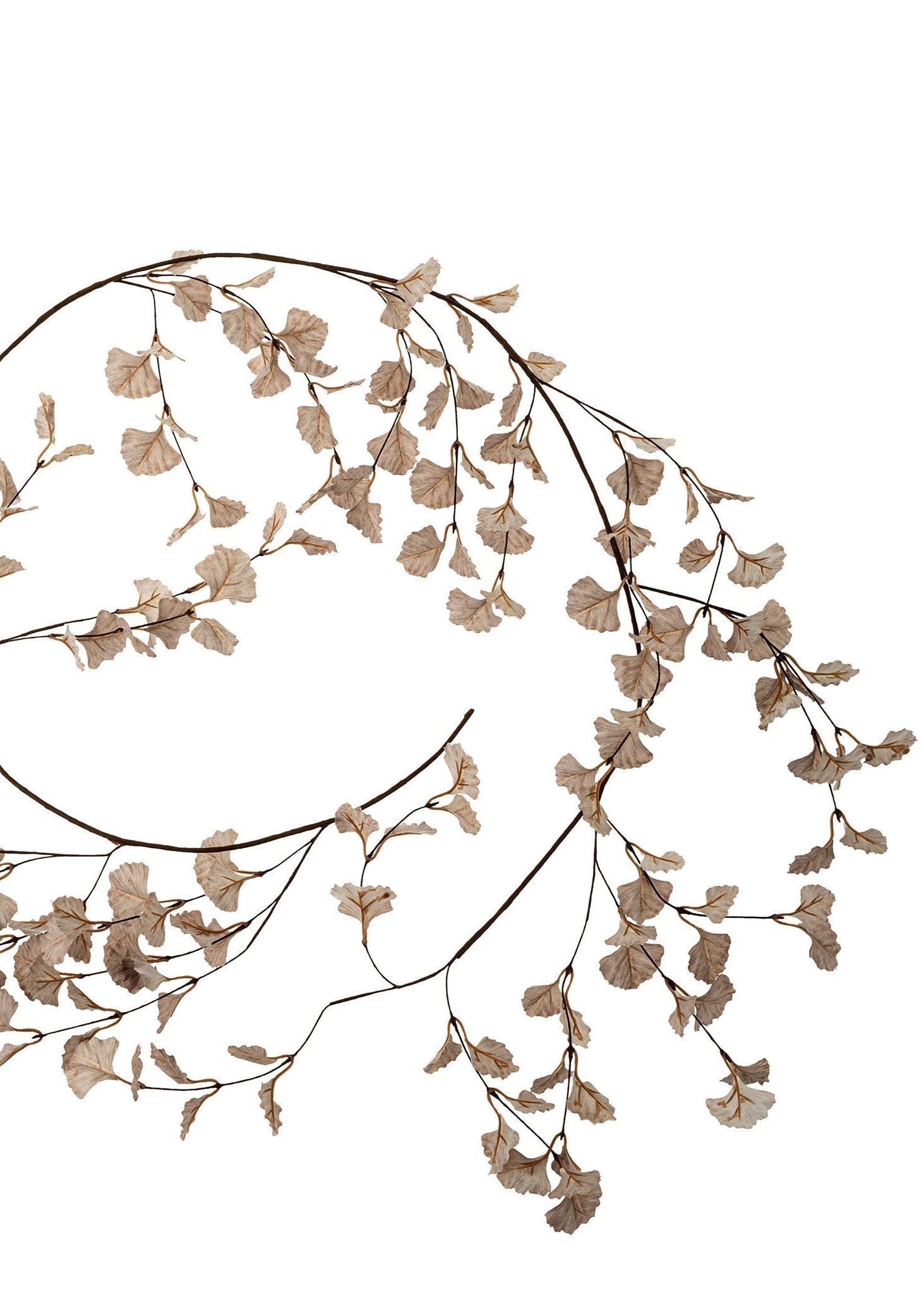 Ginkgo Garland - Clementine Home Floral Gift