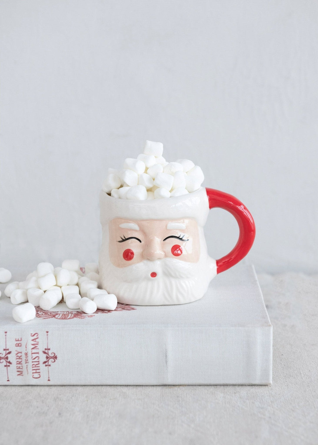 Hand - Painted Santa Mug - Clementine Home Floral Gift