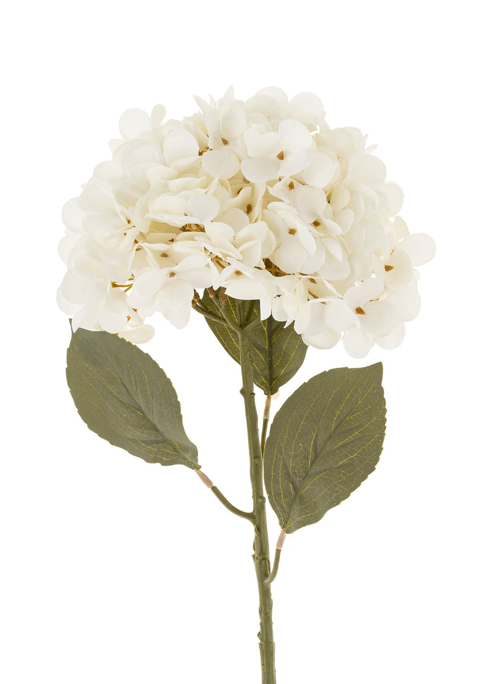 Hydrangea Floral Stem – White - Clementine Home Floral Gift