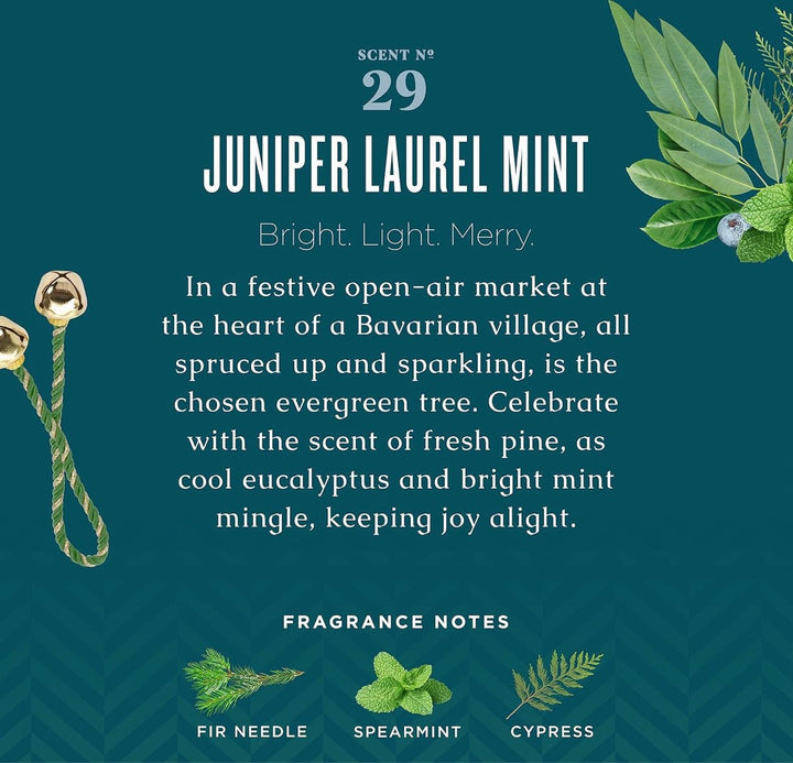 Juniper Laurel Mint Dish Soap (Box 21 - Day 4) - Clementine Home Floral Gift