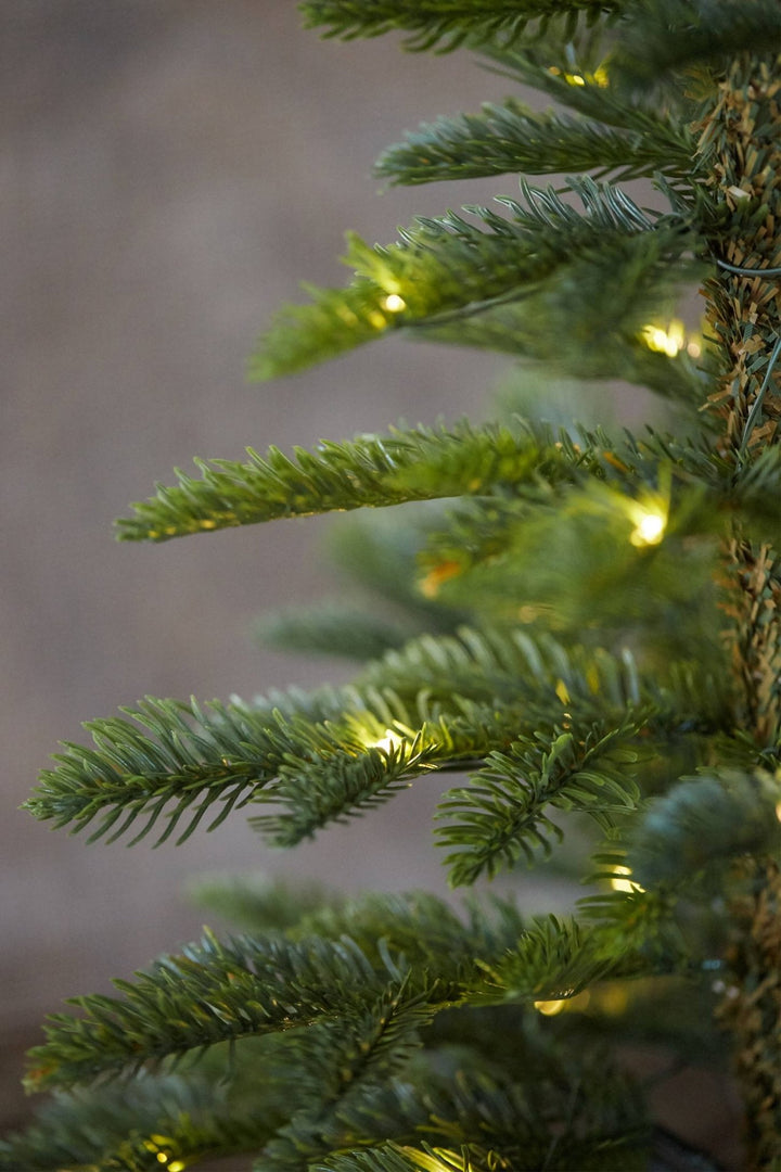 Lighted Pine Tree in Bag - Clementine Home Floral Gift