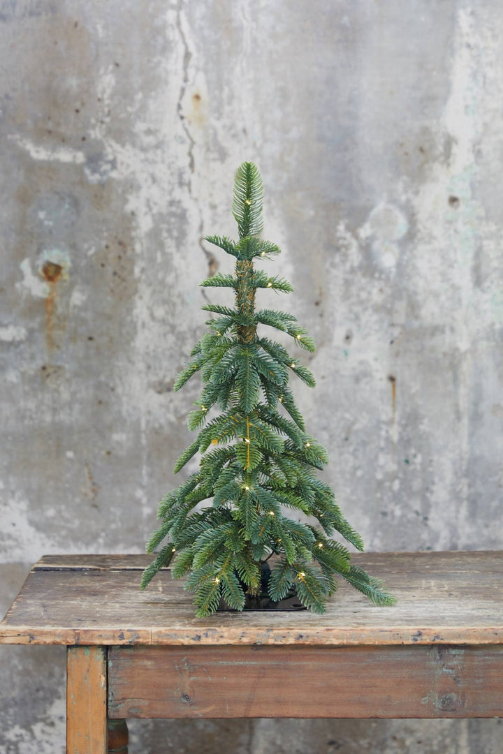 Lighted Pine Tree in Bag - Clementine Home Floral Gift