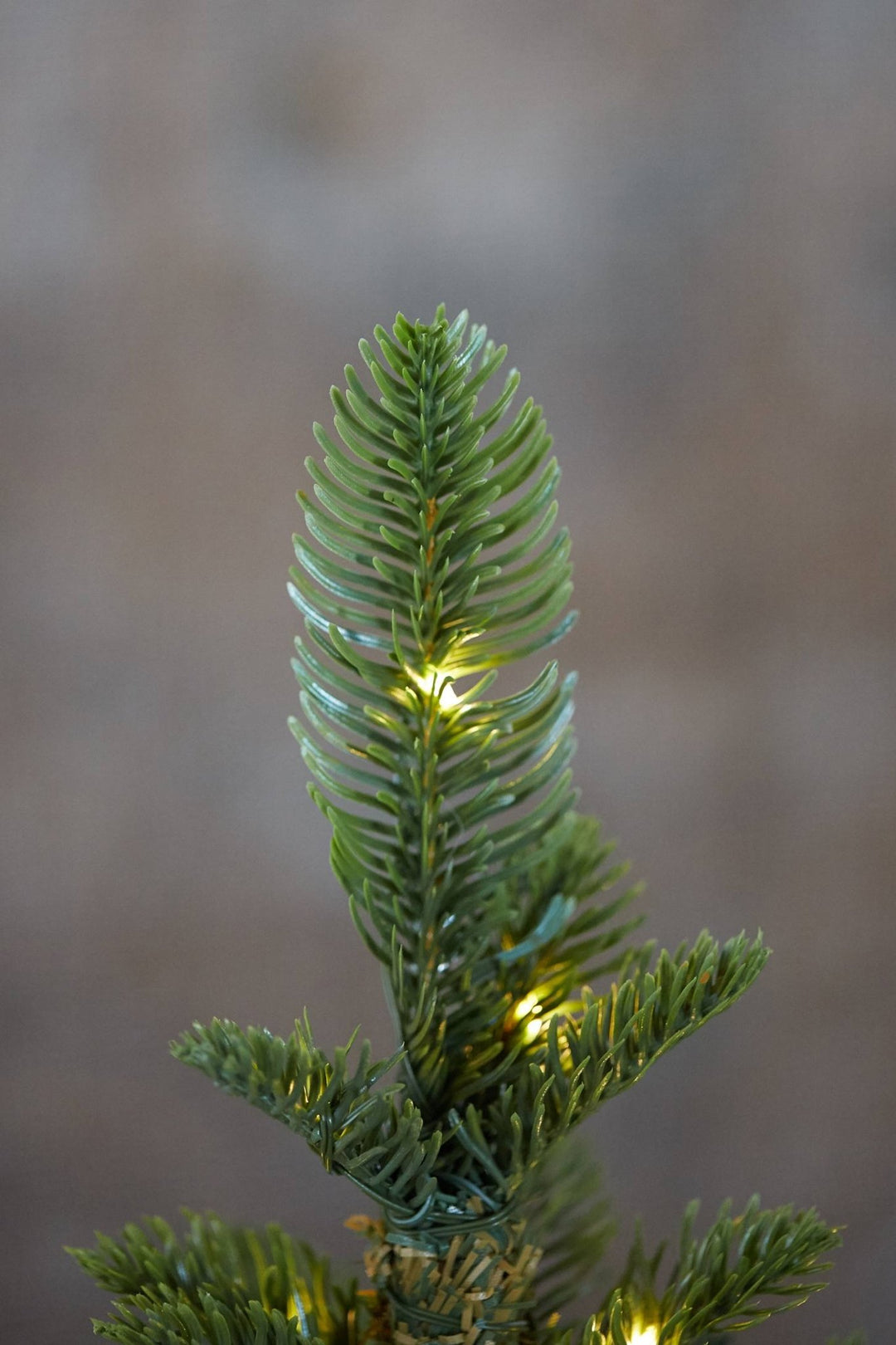Lighted Pine Tree in Bag - Clementine Home Floral Gift