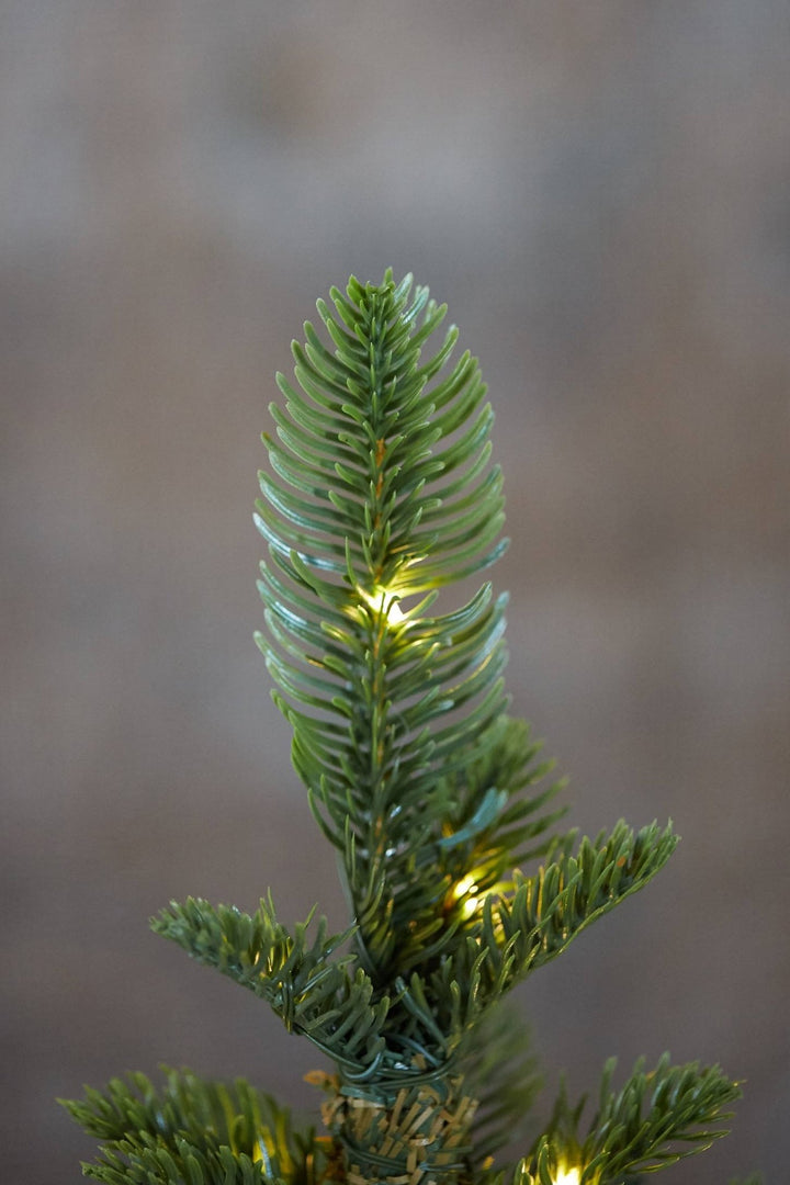 Lighted Pine Tree in Bag - Clementine Home Floral Gift