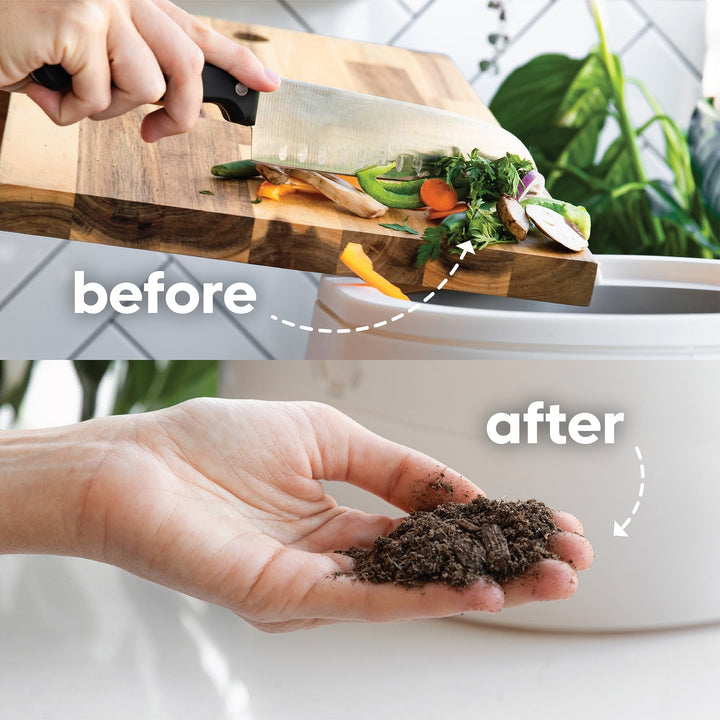 Lomi 1.3 Smart Waste™ Composter (Summer ' 25 Add - On) - Clementine Home Floral Gift