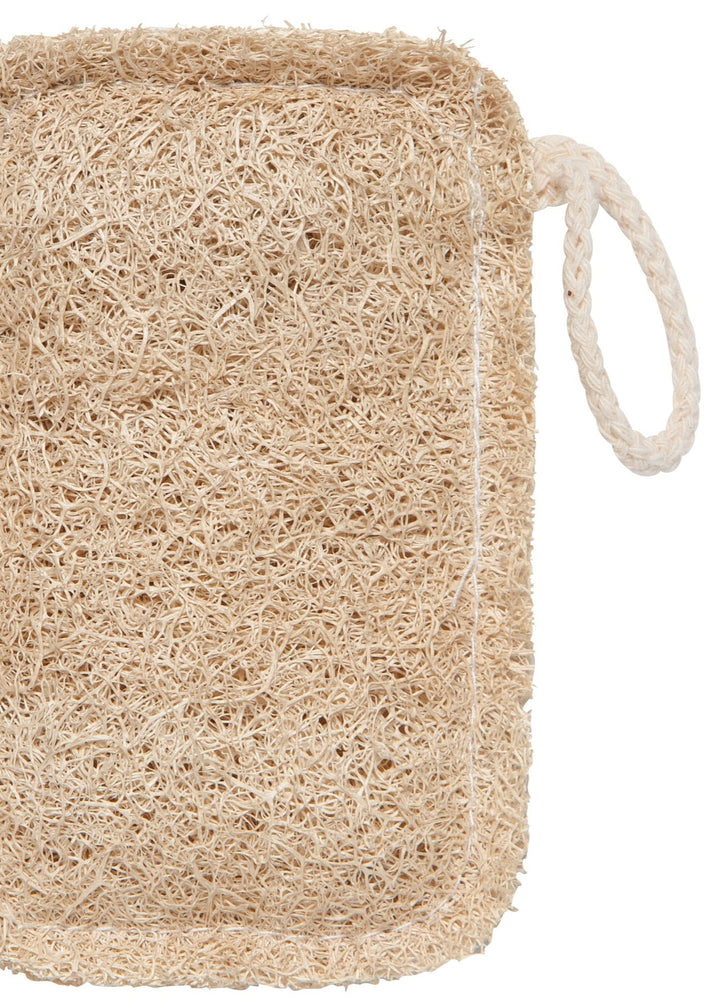Loofah Dish Sponges, Set of 2 - Clementine Home Floral Gift