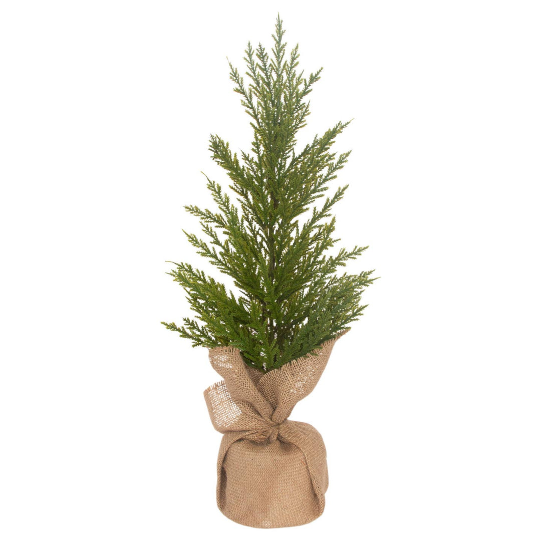 Mini Winter Fir Tree Christmas (Day 8 - Box 15 : Advent 2025) - Clementine Home Floral Gift