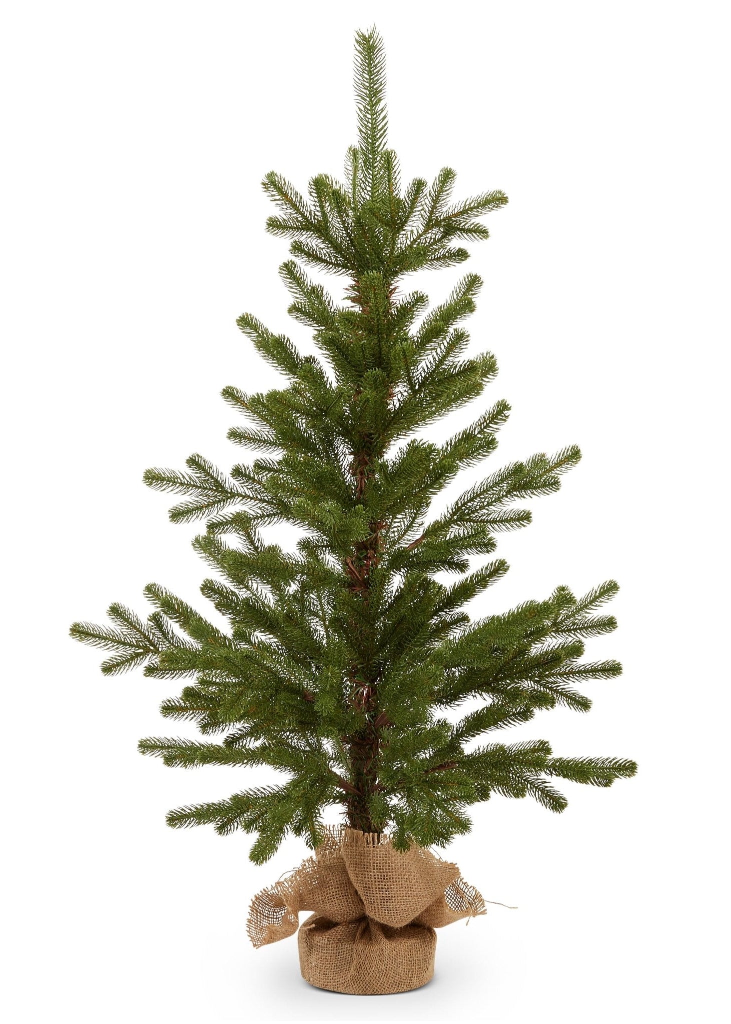 Noble Fir Tree in Burlap Bag - Clementine Home Floral Gift