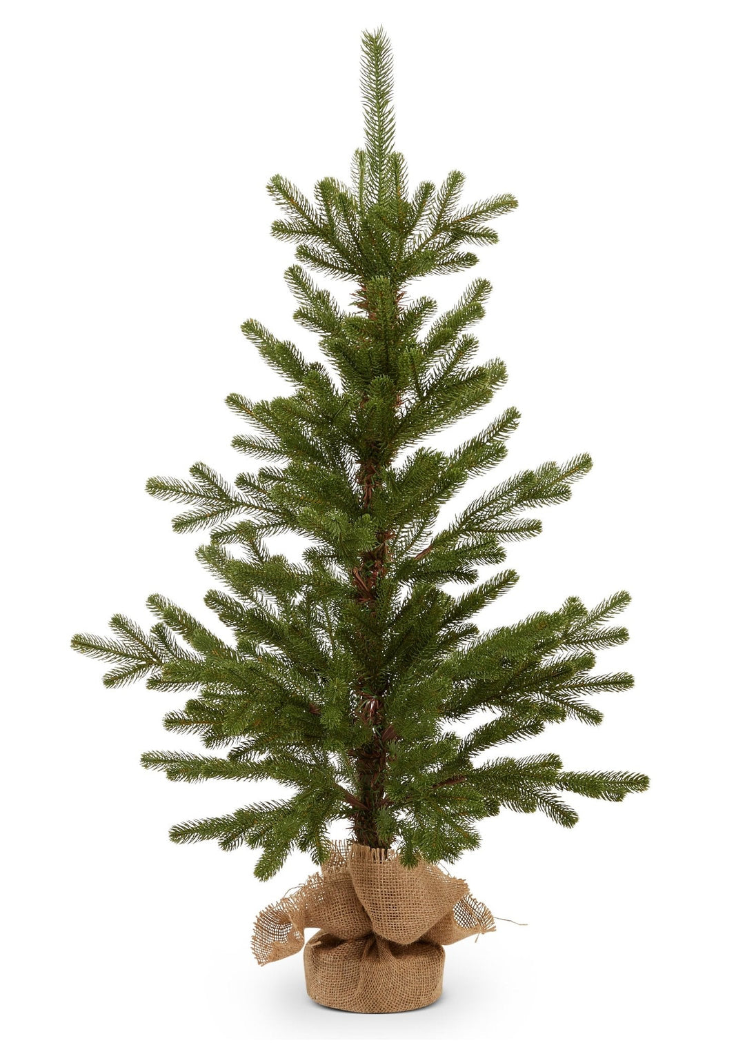 Noble Fir Tree in Burlap Bag - Clementine Home Floral Gift