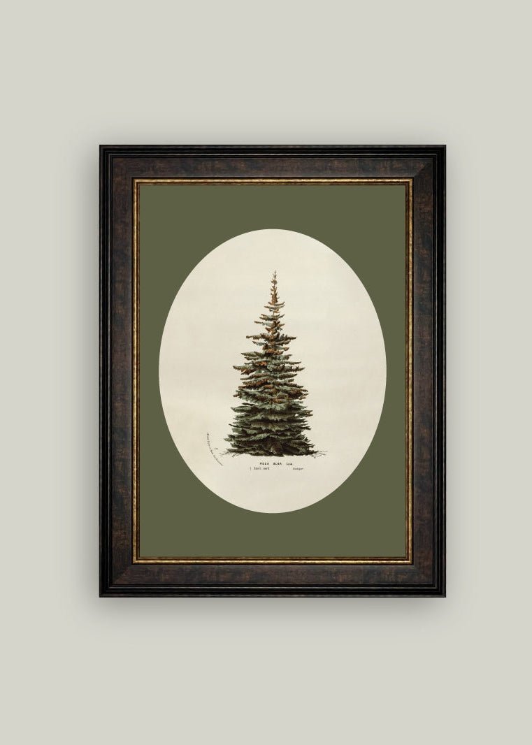 Oval Matte Tree Framed Antique Art - Clementine Home Floral Gift