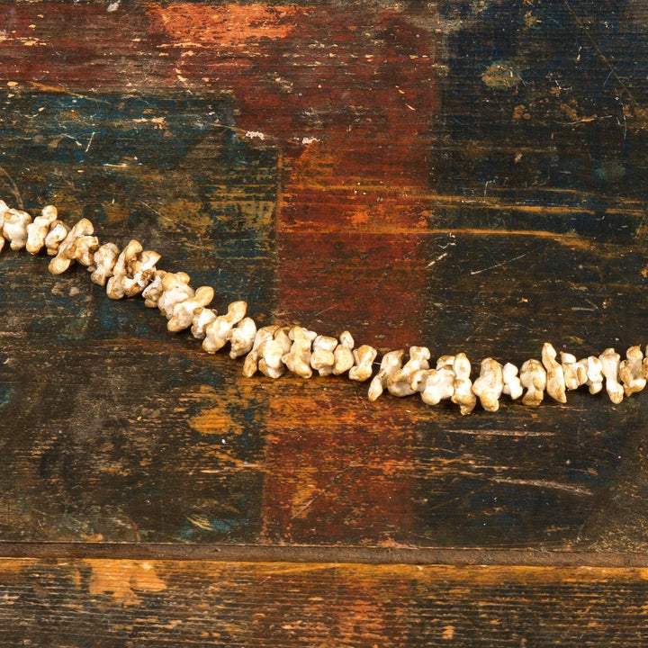 Popcorn Garland - Clementine Home Floral Gift