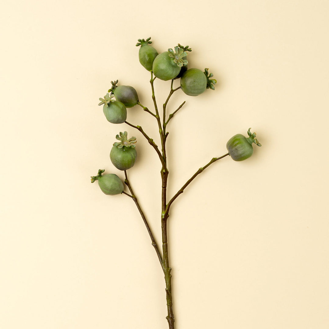 Poppy Pod Branch - Clementine Home Floral Gift