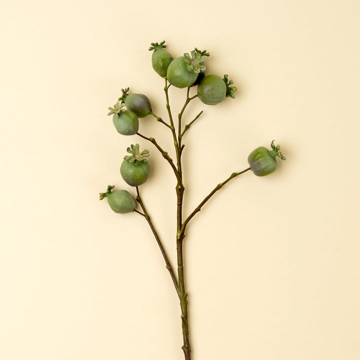 Poppy Pod Branch - Clementine Home Floral Gift