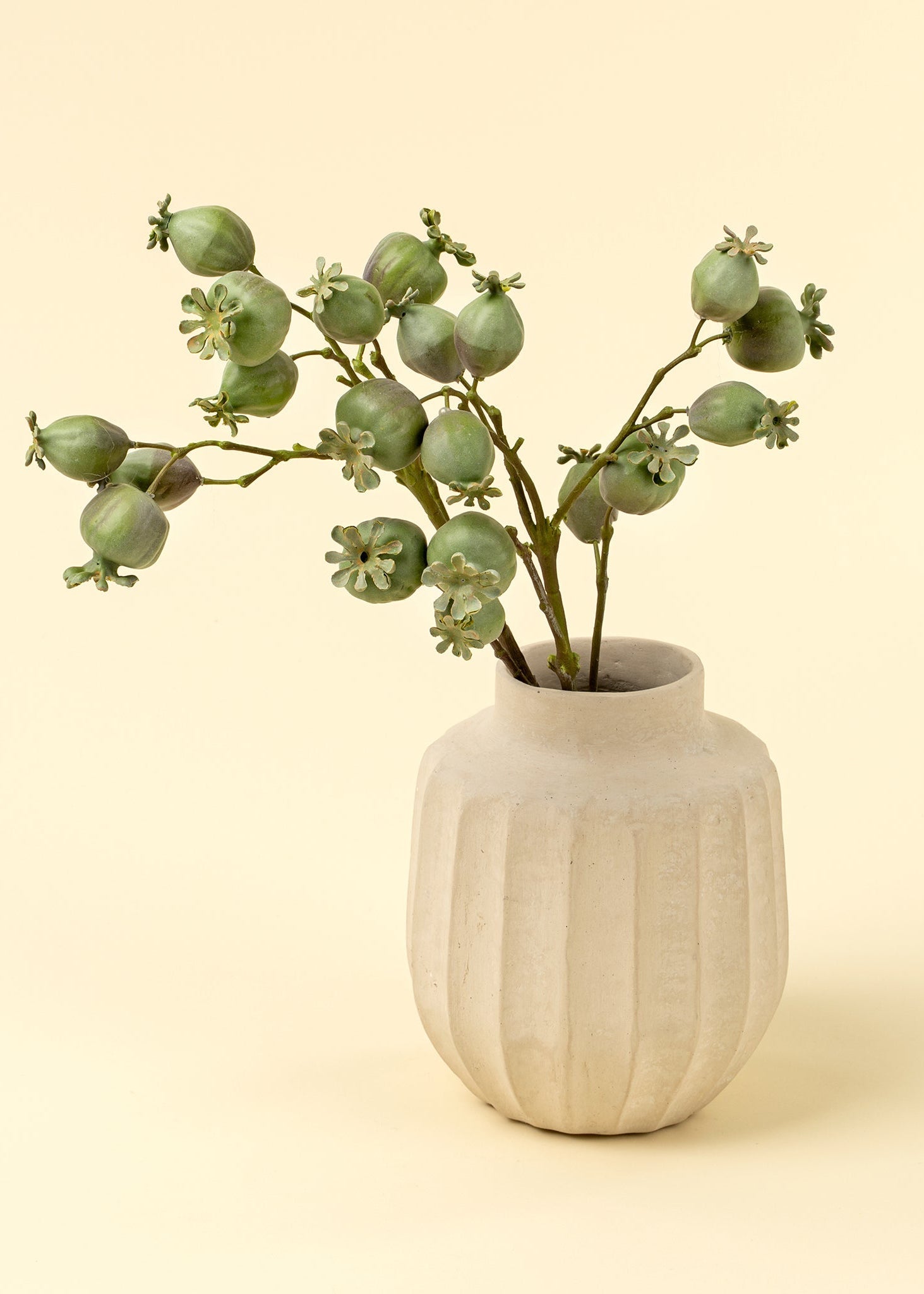 Poppy Pod Branch - Clementine Home Floral Gift
