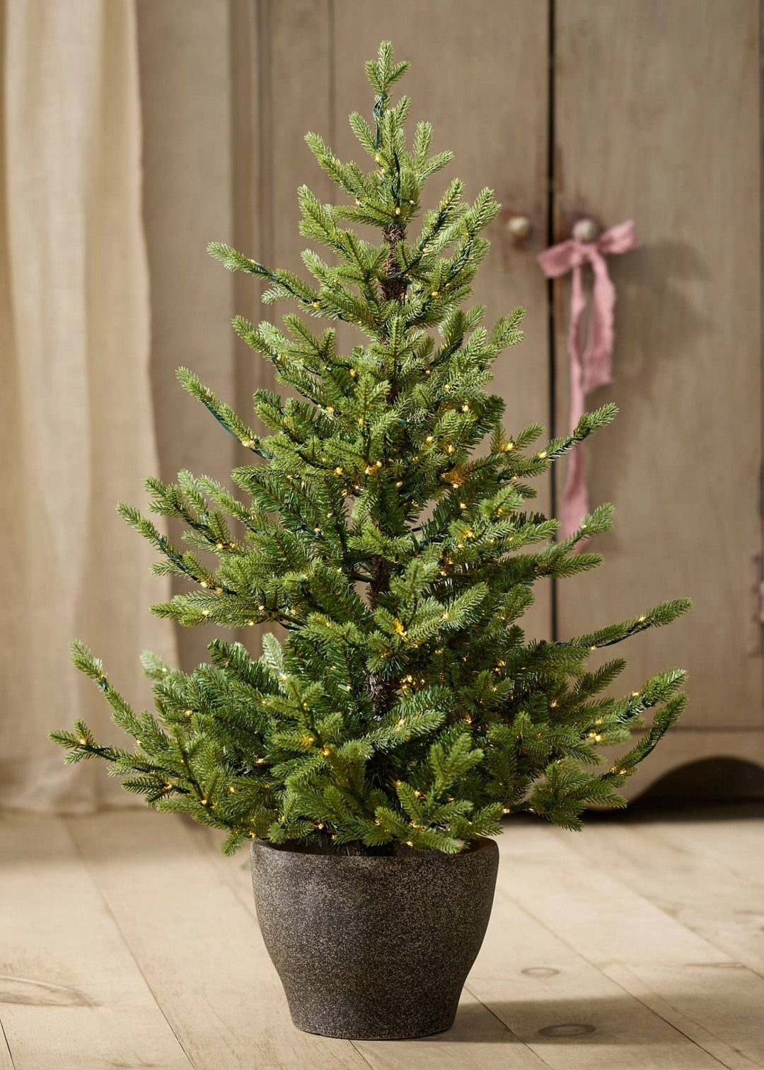Potted Iced Fir Tree - Clementine Home Floral Gift