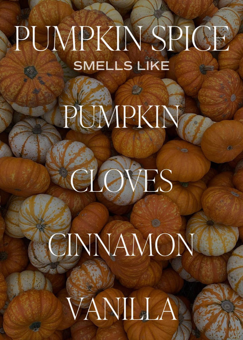 Pumpkin Spice Soy Candle - Clementine Home Floral Gift
