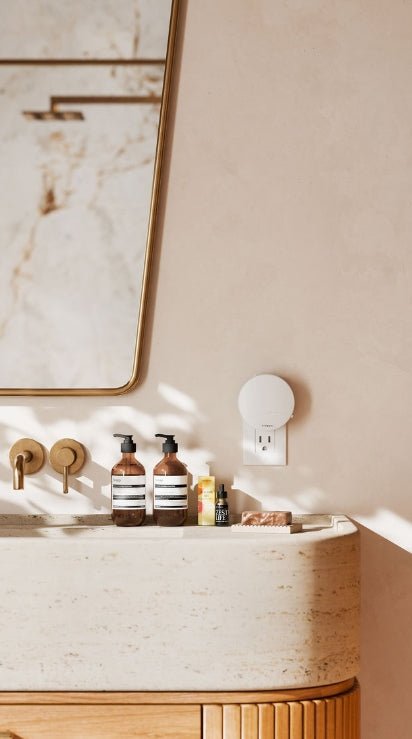 Push Plug - In Wall Diffuser (Winter '25 Add - On) - Clementine Home Floral Gift