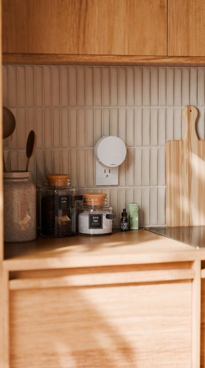 Push Plug - In Wall Diffuser (Winter '25 Add - On) - Clementine Home Floral Gift