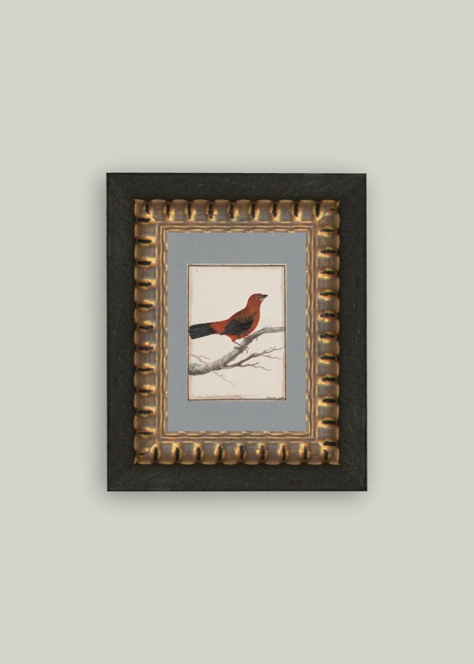 Red Bird Framed Antique Art - Clementine Home Floral Gift