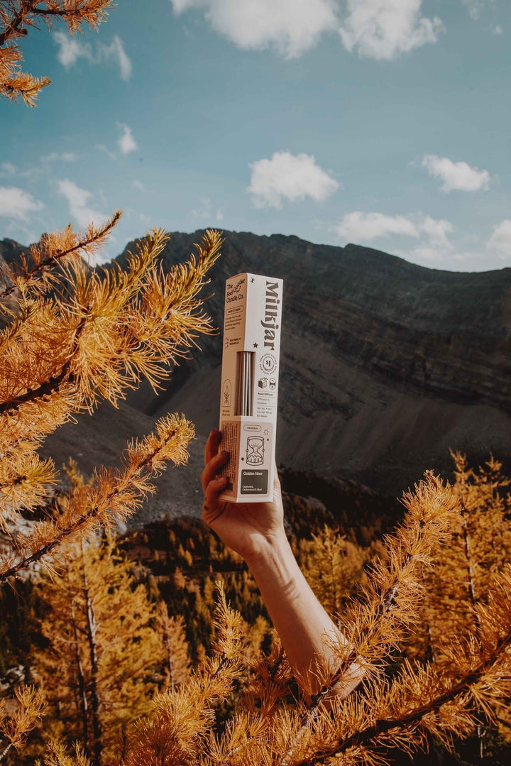 Reed Diffuser - Golden Hour - Clementine Home Floral Gift