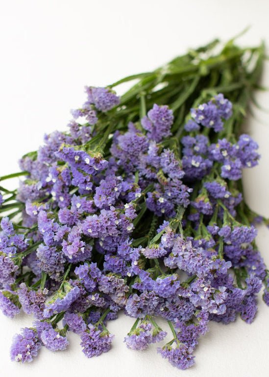 Statice ‘Light Blue’ - Clementine Home Floral Gift