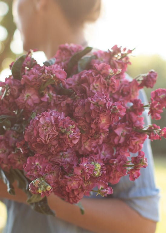 Stock ‘Vintage Brown’ - Clementine Home Floral Gift