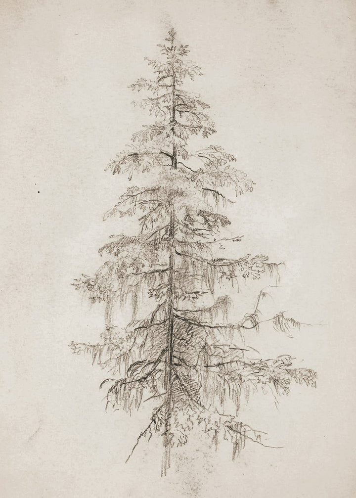 Tree Art Print - Clementine Home Floral Gift