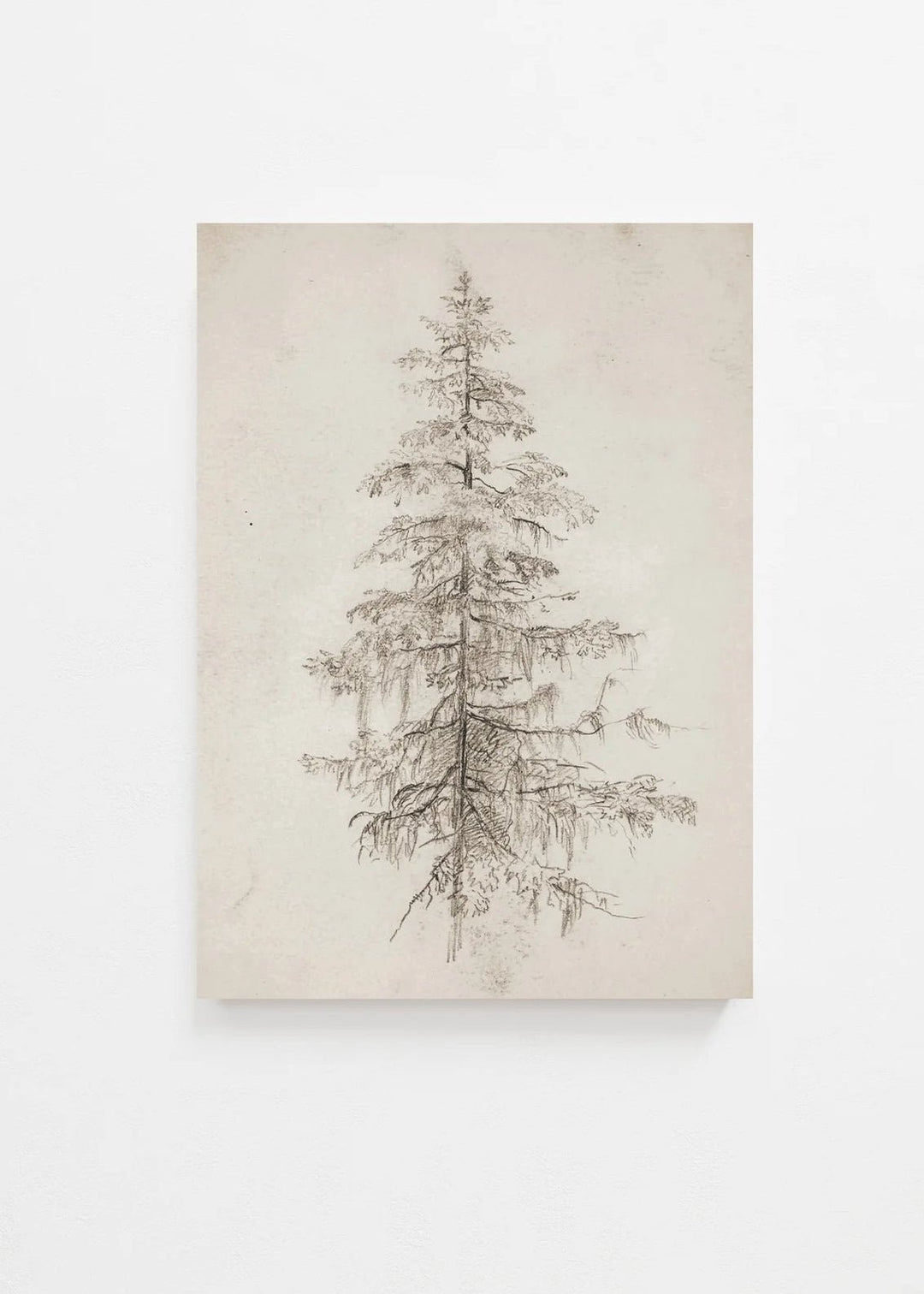 Tree Art Print - Clementine Home Floral Gift