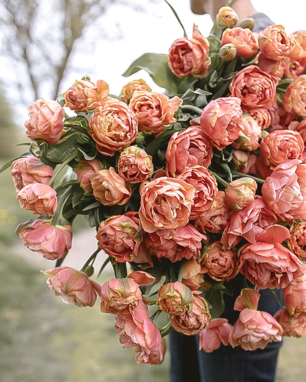 Tulip - Copper Image - Clementine Home Floral Gift