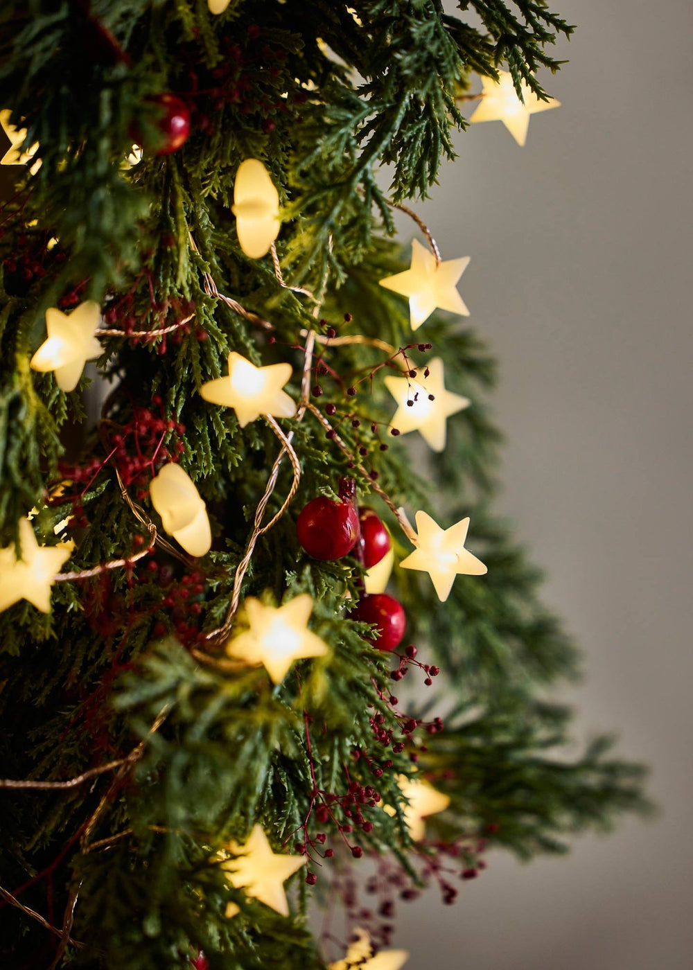 Twinkling Stars String Lights - Clementine Home Floral Gift