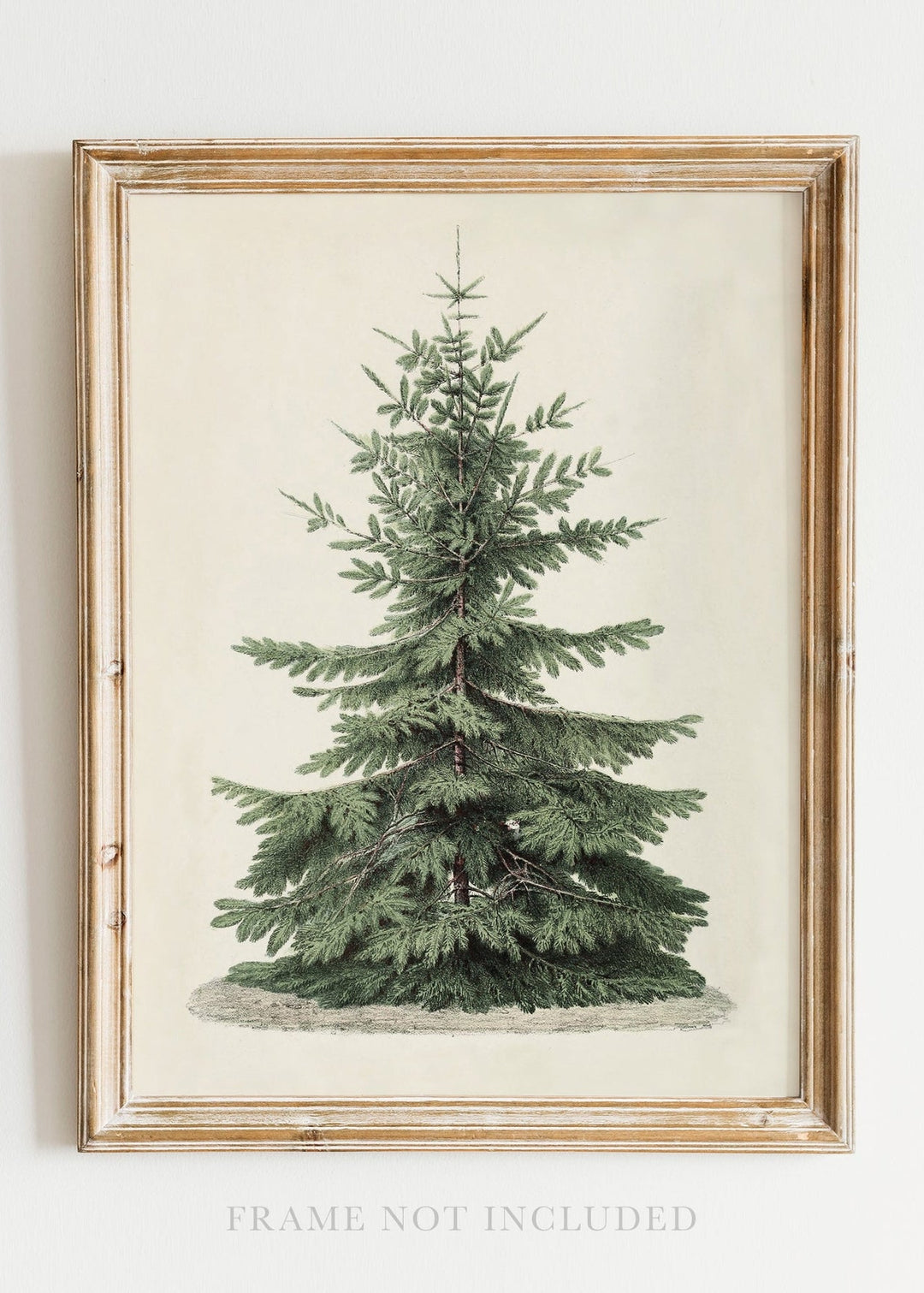 Vintage Christmas Tree Wall Art Print - Clementine Home Floral Gift