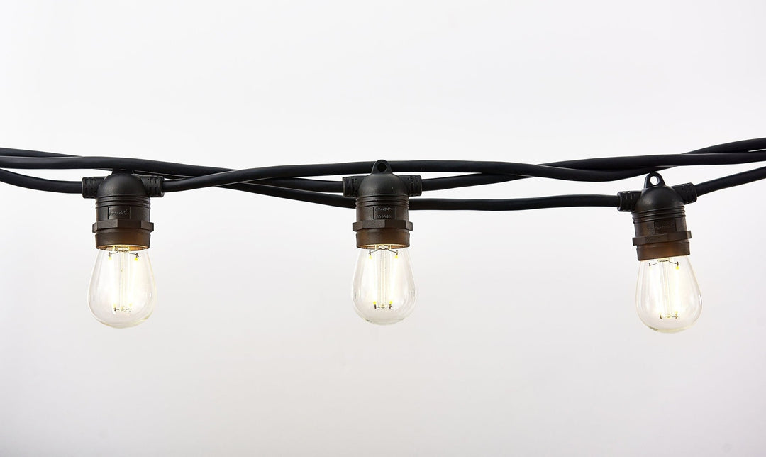 Vintage Edison Patio Lights (Summer '25 Add - On) - Clementine Home Floral Gift
